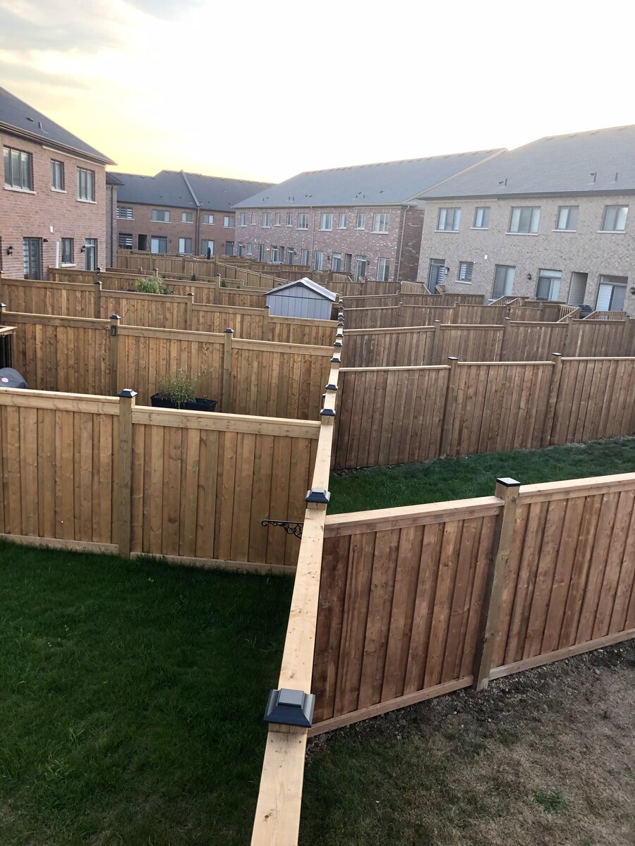 Cedar Board Fence